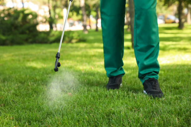 Best Commercial Pest Control Services  in Wake Village, TX